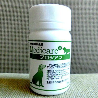 プロシアン2個セット 120粒×2