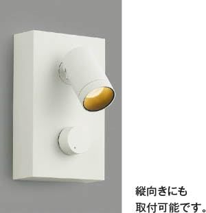 5営業日で発送