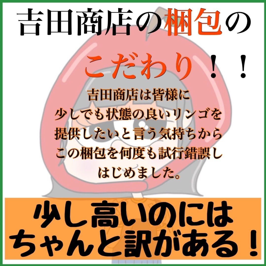 青森県産サンふじりんご訳あり10㎏-2