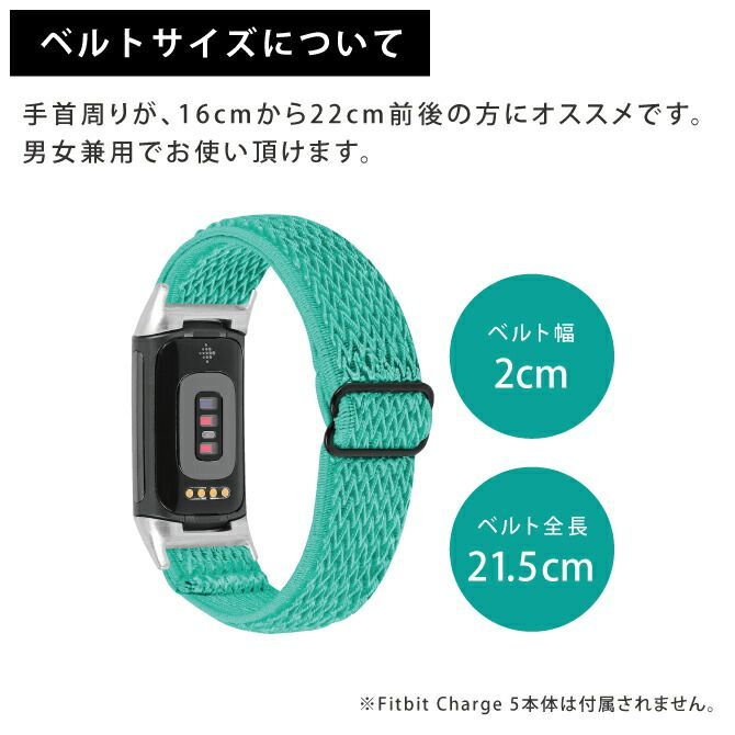 ミントグリーン] Fitbit Charge 5 フィットビット チャージ 5 Fitbit