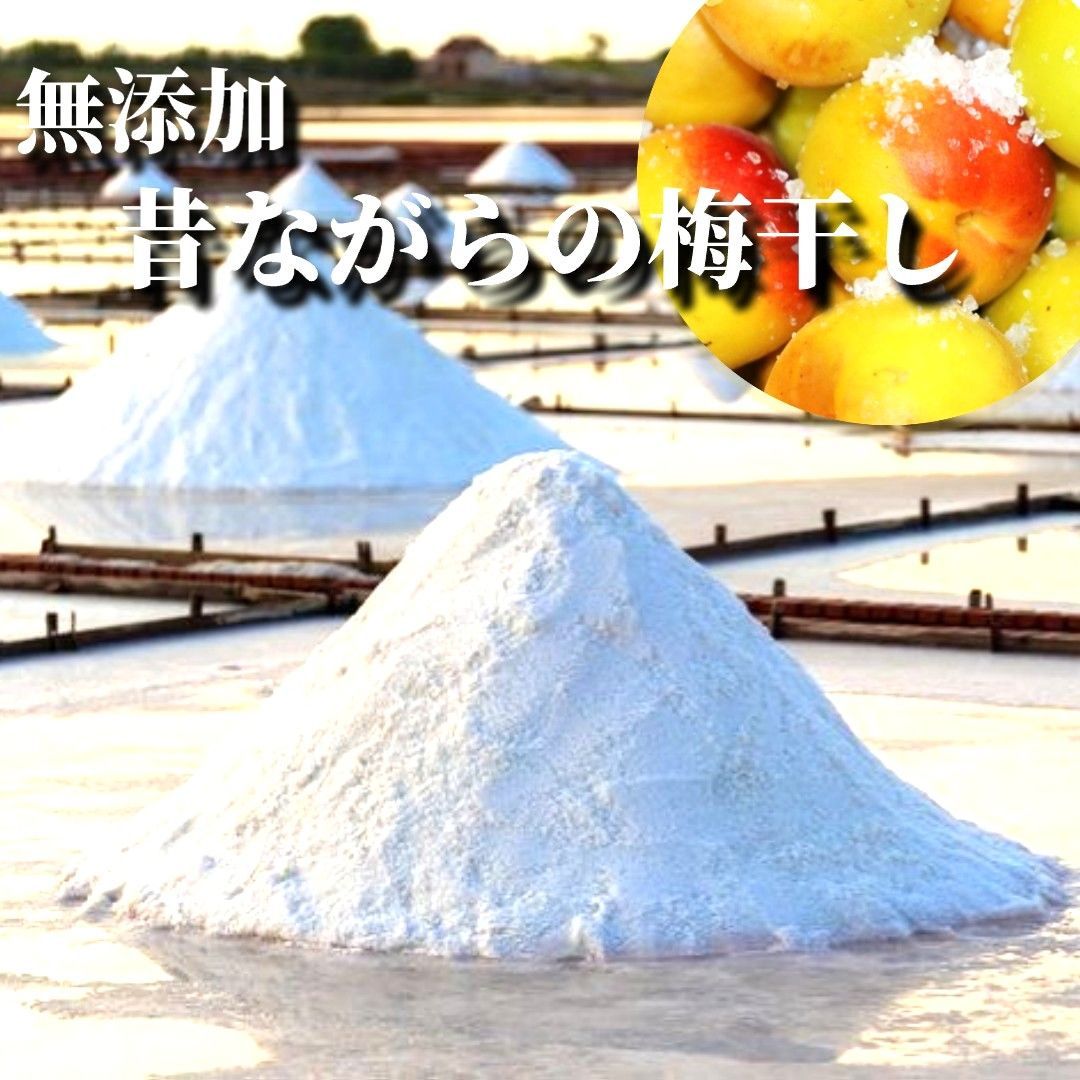 71【☆450g☆ 塩のみ 無添加 紀州南高梅 白干し梅 塩分18