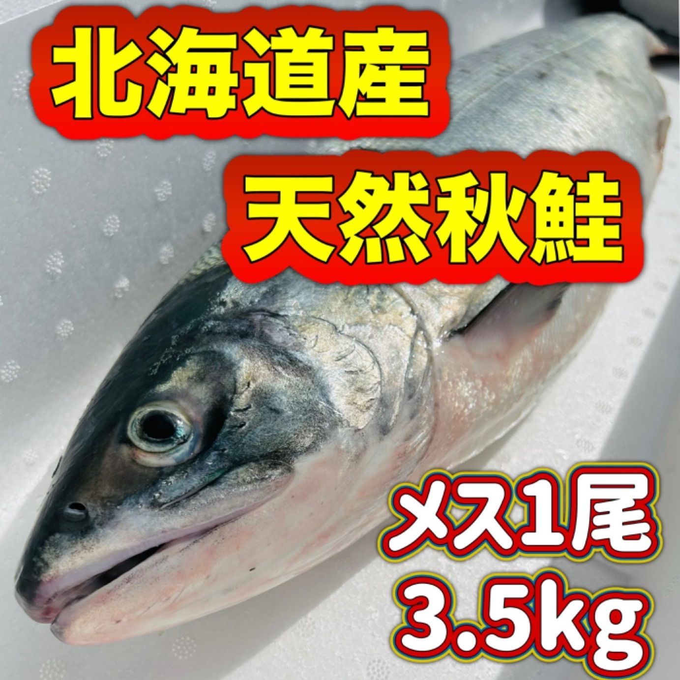 〒ゆかり　北海道産秋鮭メス 〒ゆかり様専用 北海道産秋鮭メス