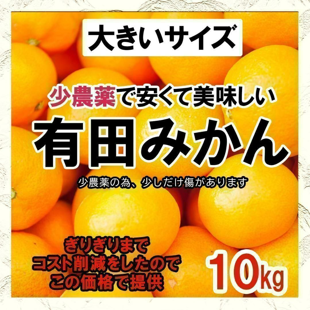 大きいサイズ【有田より産地直送】高いコスパ！数量限定！甘い 有田