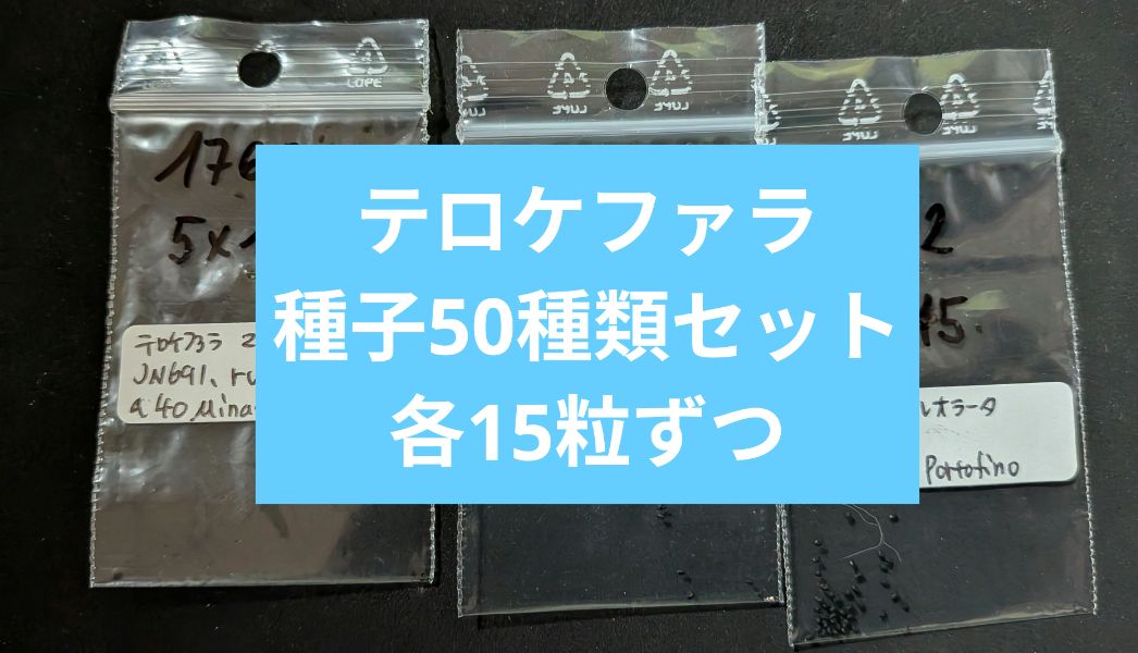 テロケファラ 産地や種類別 50種類セット 各15粒ずつ