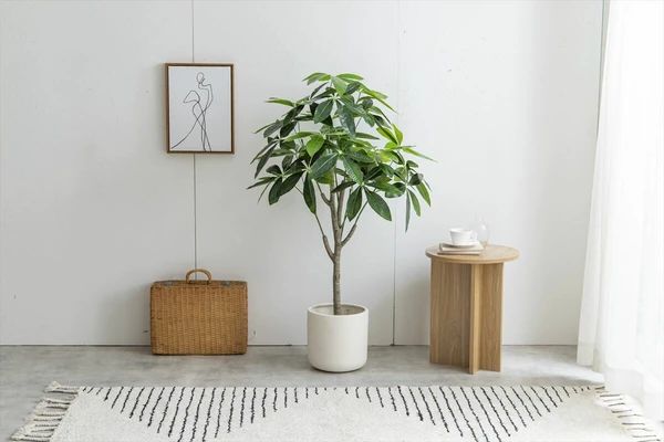 光触媒　人工観葉植物　ウォールグリーン　造花　インテリア　パキラ120 光触媒 人工観葉植物 高さ120cm パキラ フェイクグリーン