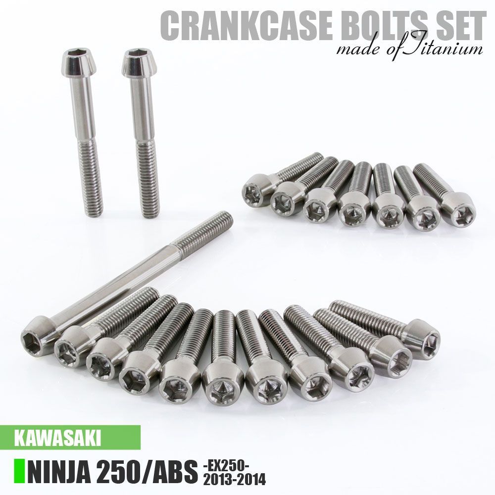 チタンボルト カワサキ Ninja250/ABS専用 ニンジャ250 EX250 2013-2014 クランクケース エンジンカバー ボルト セット 20本 シルバー ネジ