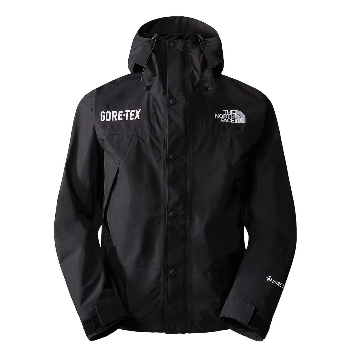 THE NORTH FACE ザ ノースフェイス GTX MOUNTAIN JACKET マウンテン ...