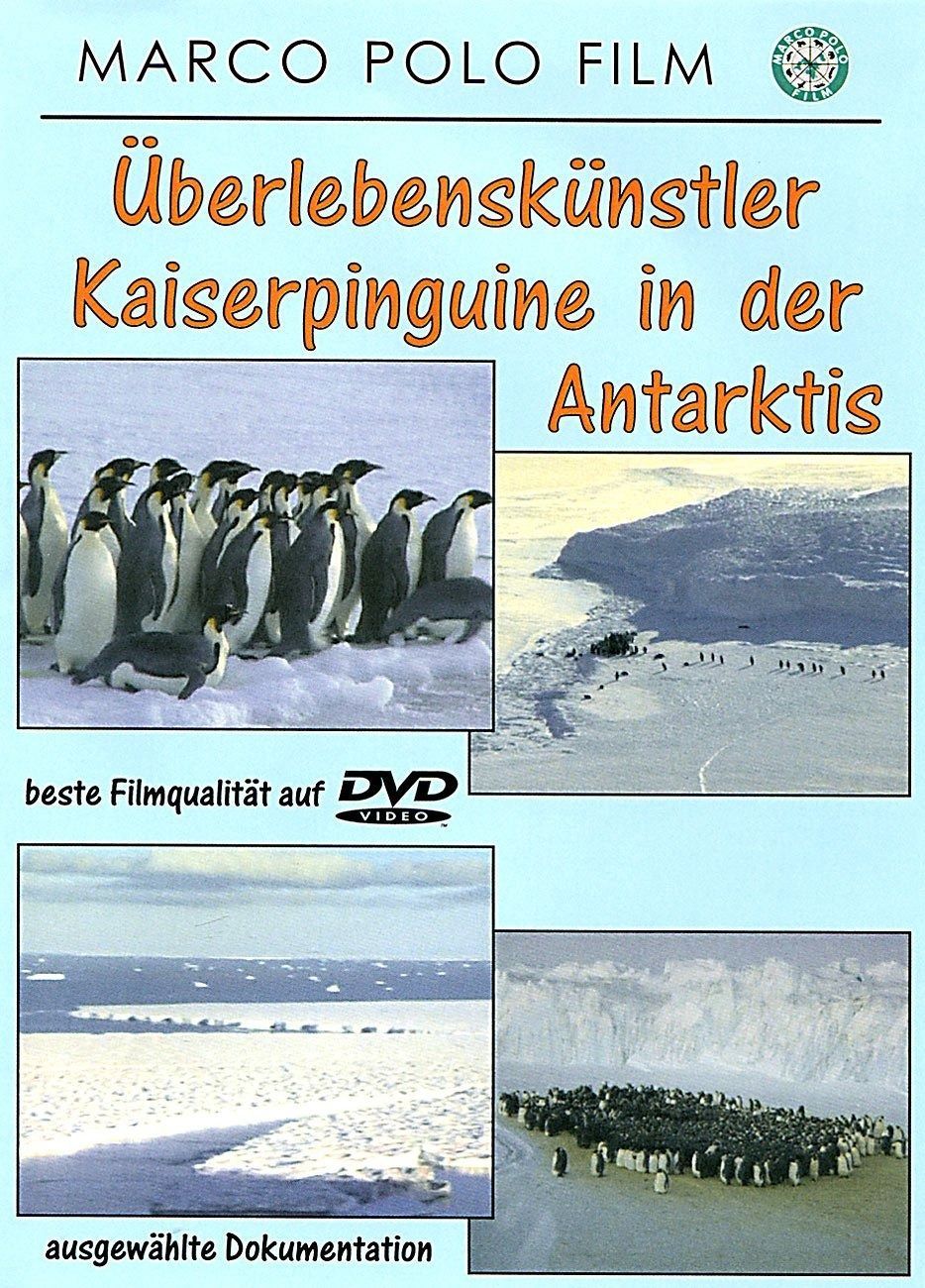 Kaiserpinguine in Der Antarktis DVD Import