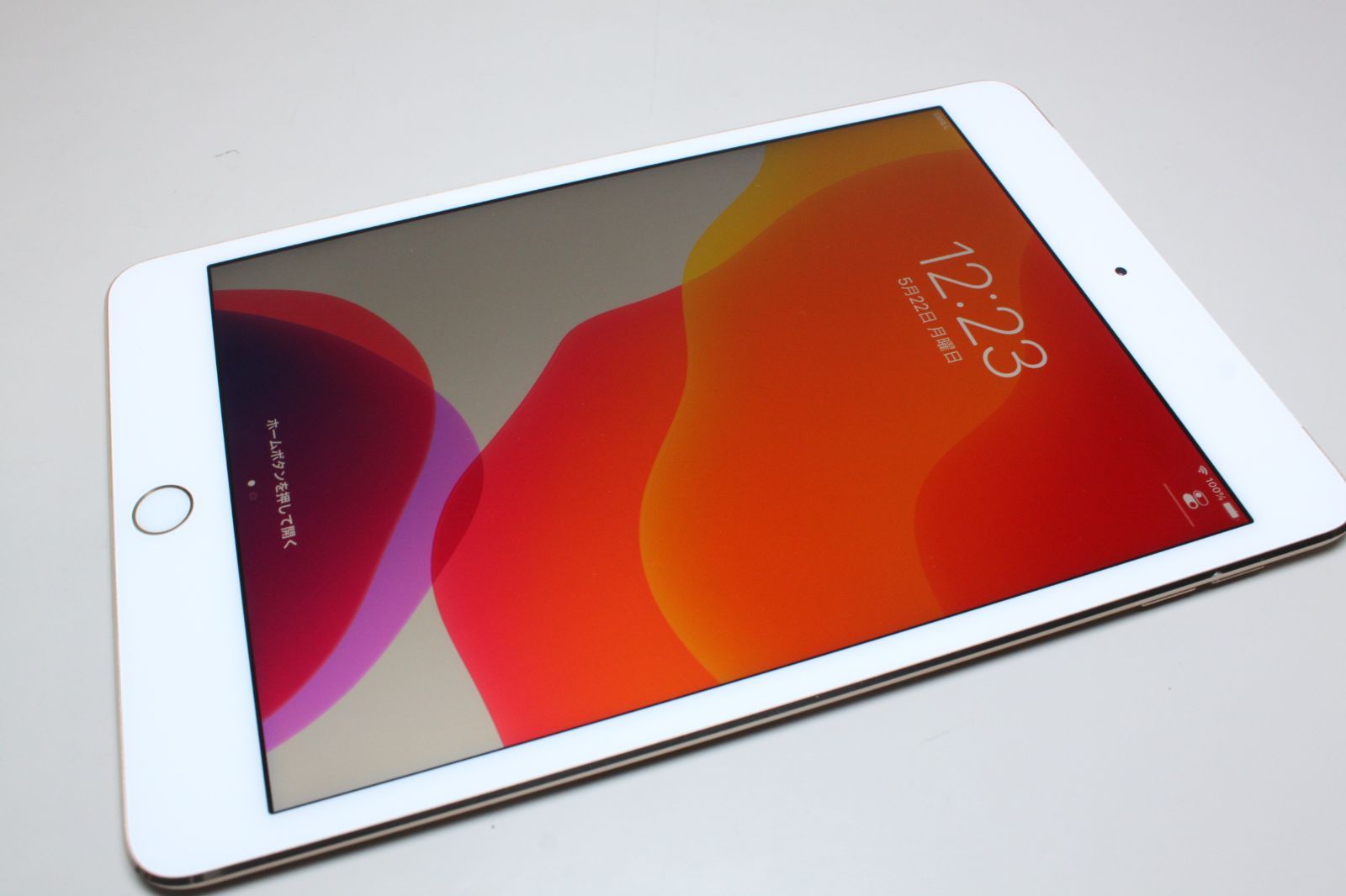 iPad mini4 16GB 【SIMロック解除済】 | ciudadmalvinas.gov.ar