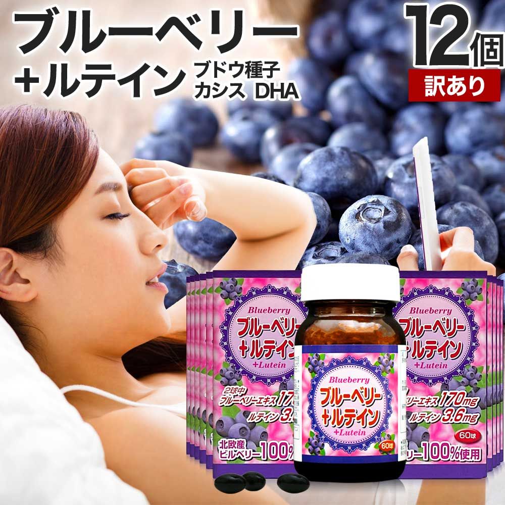 訳あり ブルーベリー＋ルテイン粒 60球*12個 約360日分 賞味期限2026年12月のみ 送料無料 宅配便 | ルテイン ビルベリー ブルーベリー アントシアニン カシス エキス DHA オメガ3 omega3 オメガ3オイル サプリ サプリメント