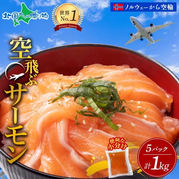 1kg 空飛ぶサーモン 青空市場 サーモン MOWI ノルウェー産 泉佐野市 