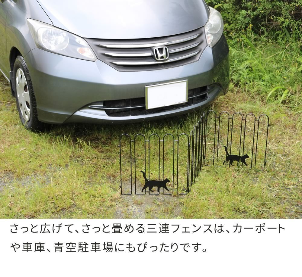 2枚組 ブラックホワイト