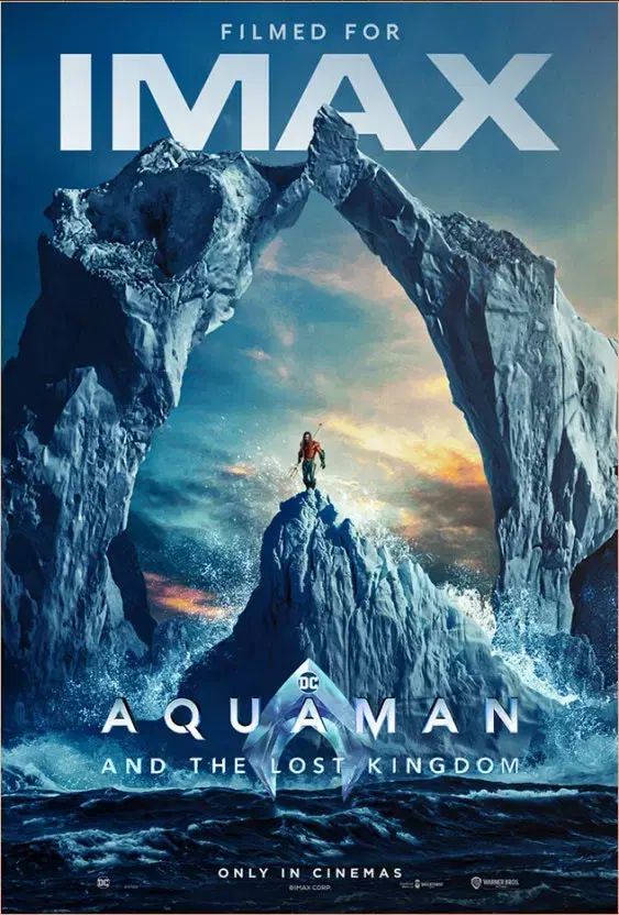 鬼滅の刃 合同訓練 アクアマン IMAX A3 ポスター