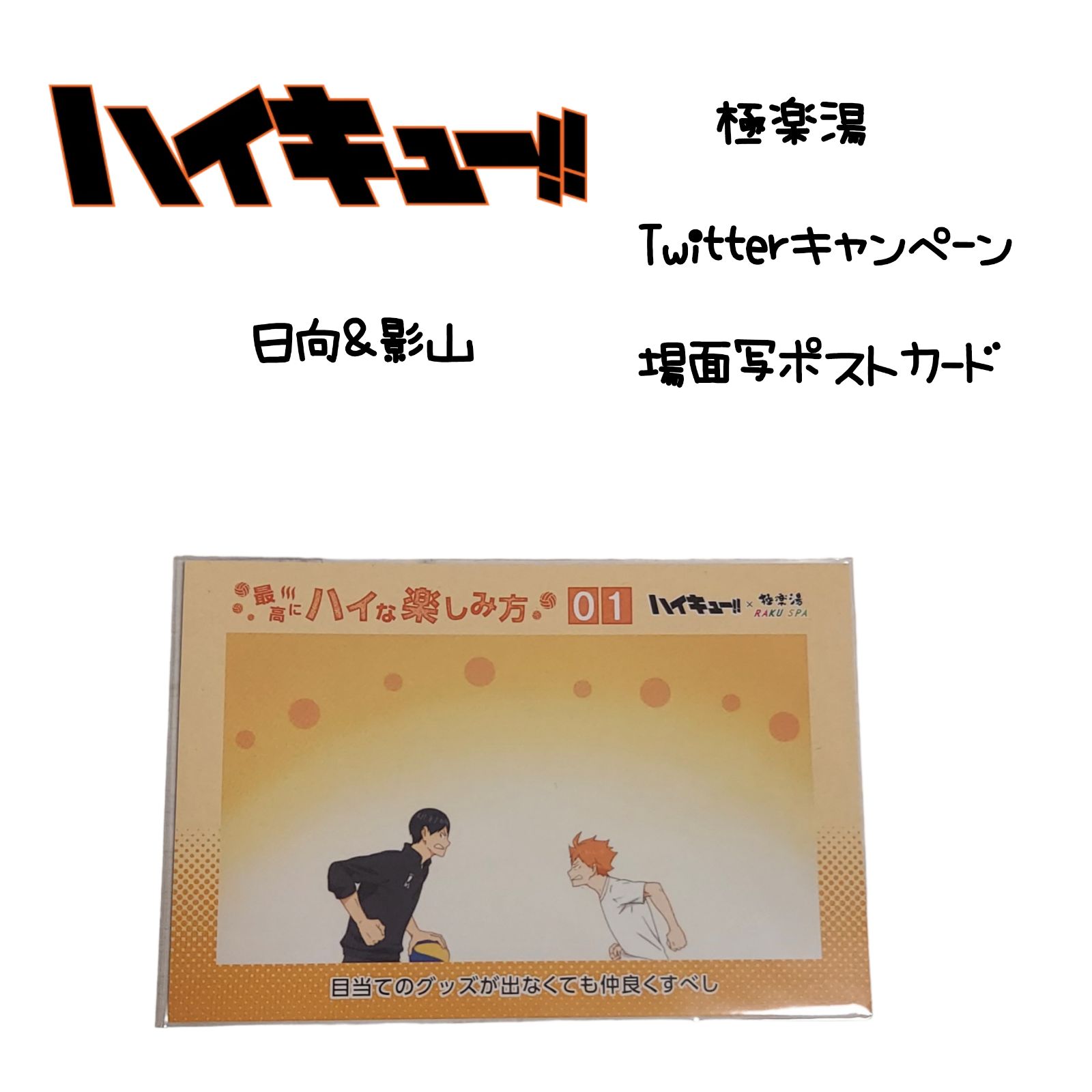 ハイキュー ポストカード 原画展 日向&影山 50枚セット ハイキュー展ポストカードハガキ葉書原画展日向影山烏野月島西谷
