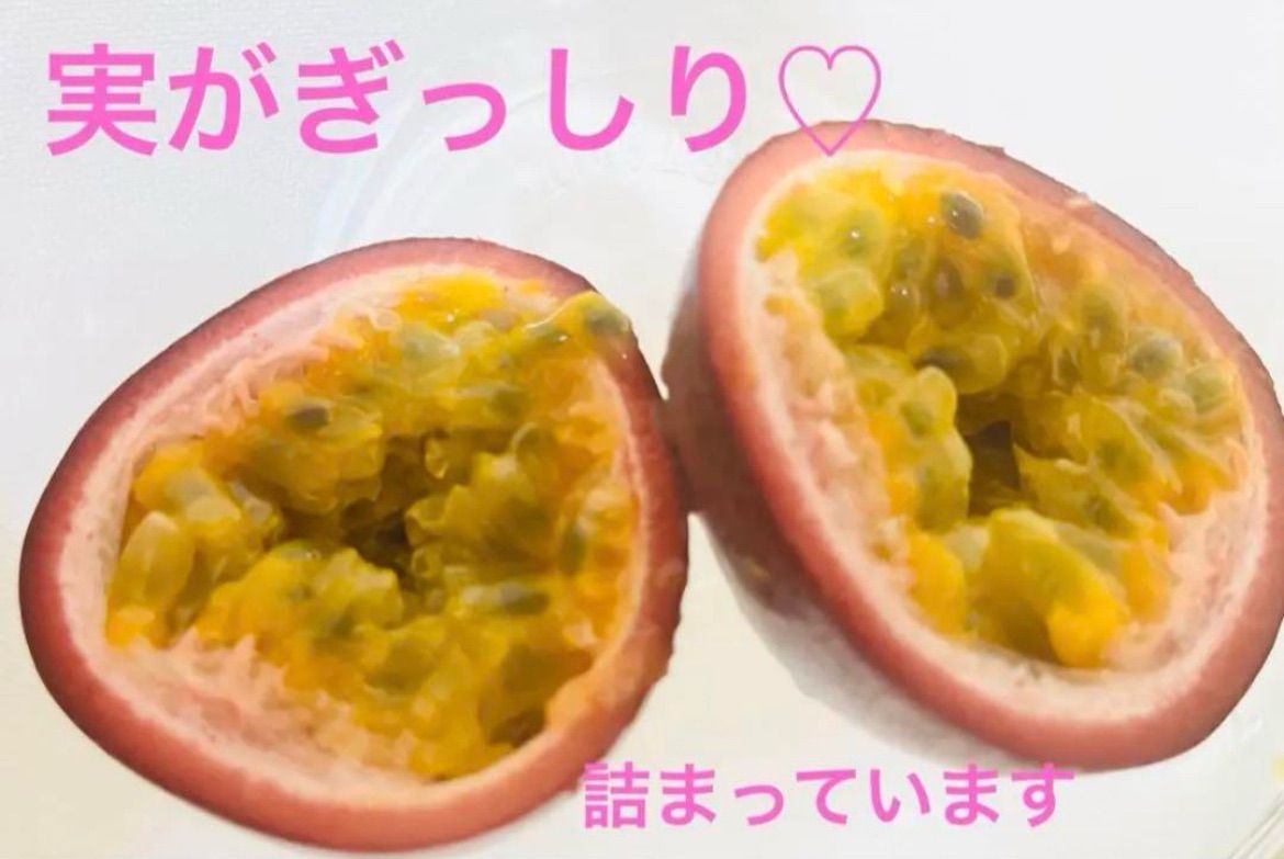 香織