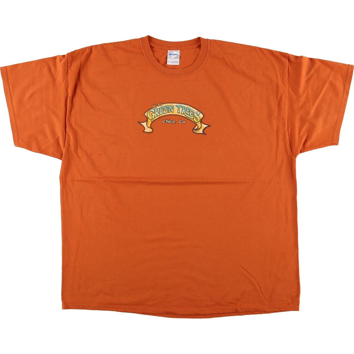 古着 ギルダン GILDAN ULTRA COTTON プリントTシャツ メンズXXL相当/eaa429372