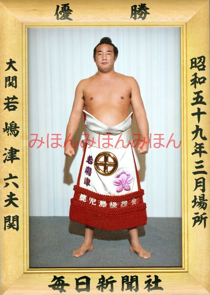 若嶋津六夫関 優勝ミニ額 大相撲ミニ額 大相撲優勝額 昭和59年