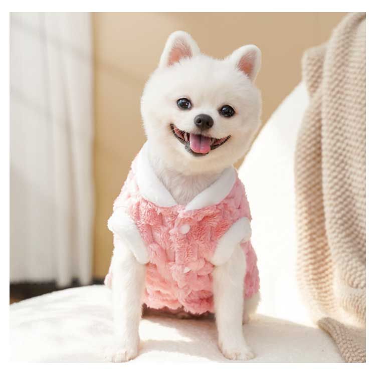 楽天市場】【20％OFFクーポン対象商品】犬 服 冬 シャープボア