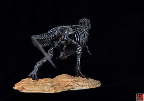 1/72 ティラノサウルス Tレックス T-REX 恐竜 骨格 フィギュア