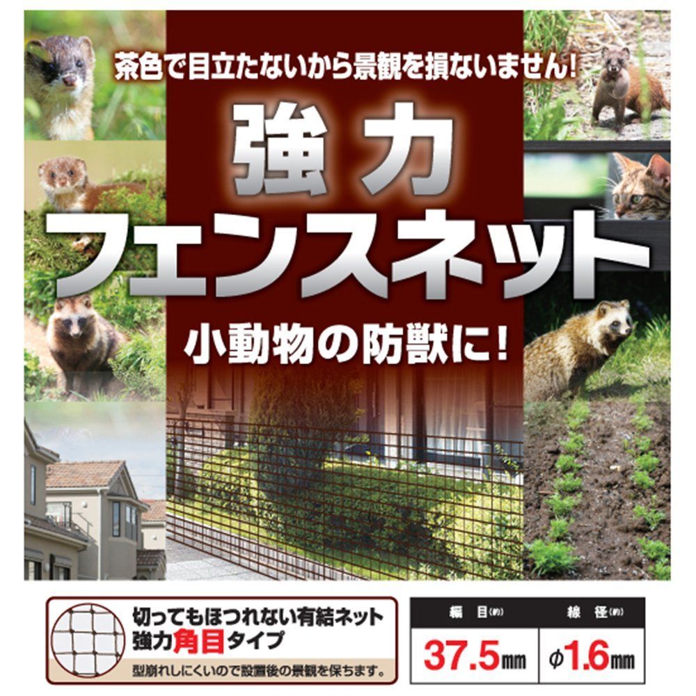 茶