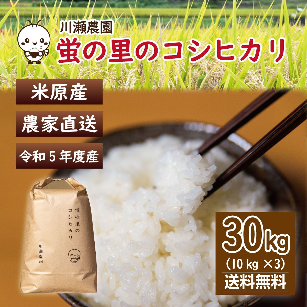 令和5年産新米状態新米　コシヒカリ玄米　中米30㎏　送料無料！！数量限定！！