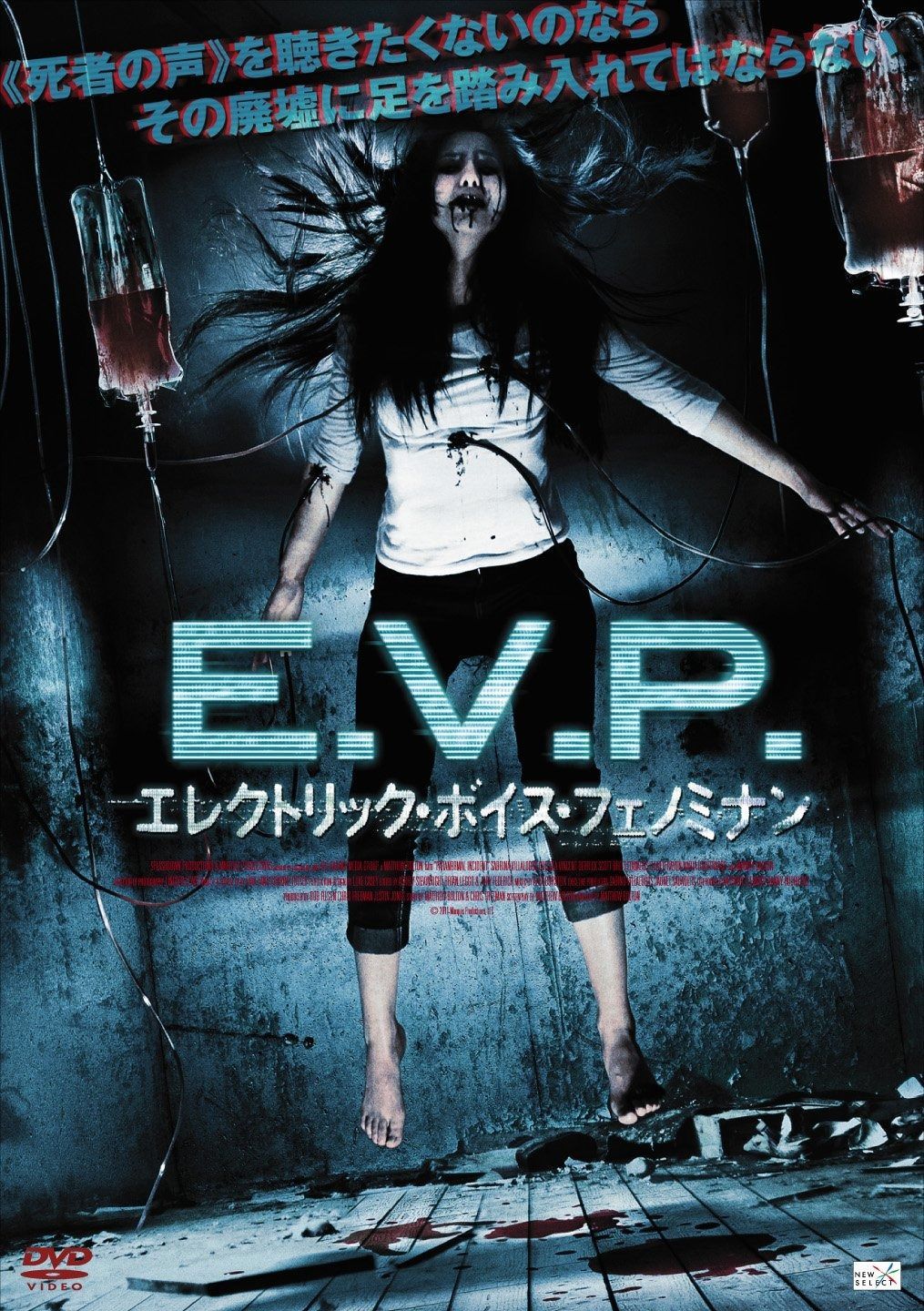 E.V.P. エレクトリック ボイス フェノミナン DVD