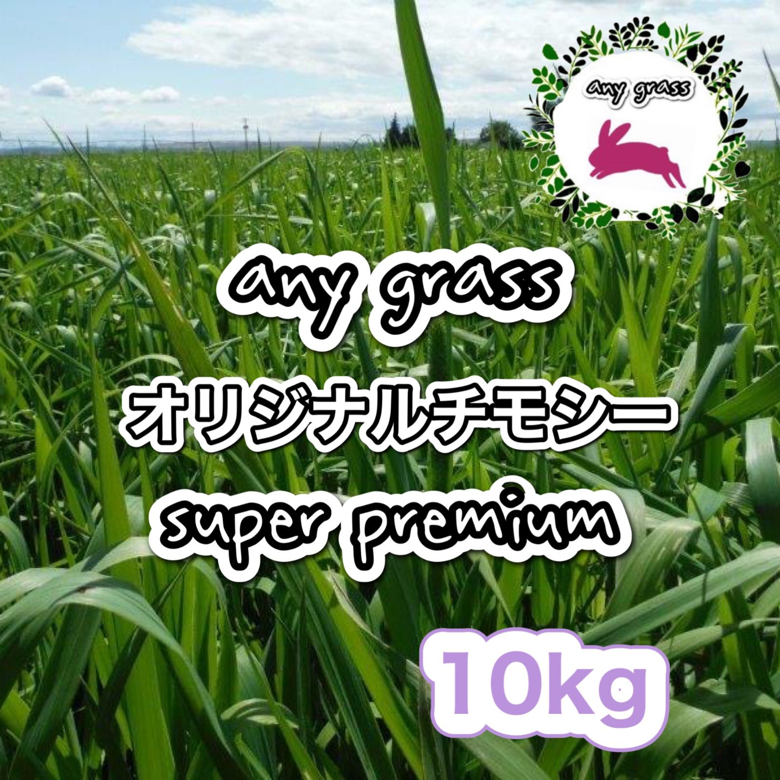 any grass オリジナルチモシーsoft premium 10kg 圧縮 any grassオリジナルチモシー super premium 10kg 圧縮 無選別 - メルカリ