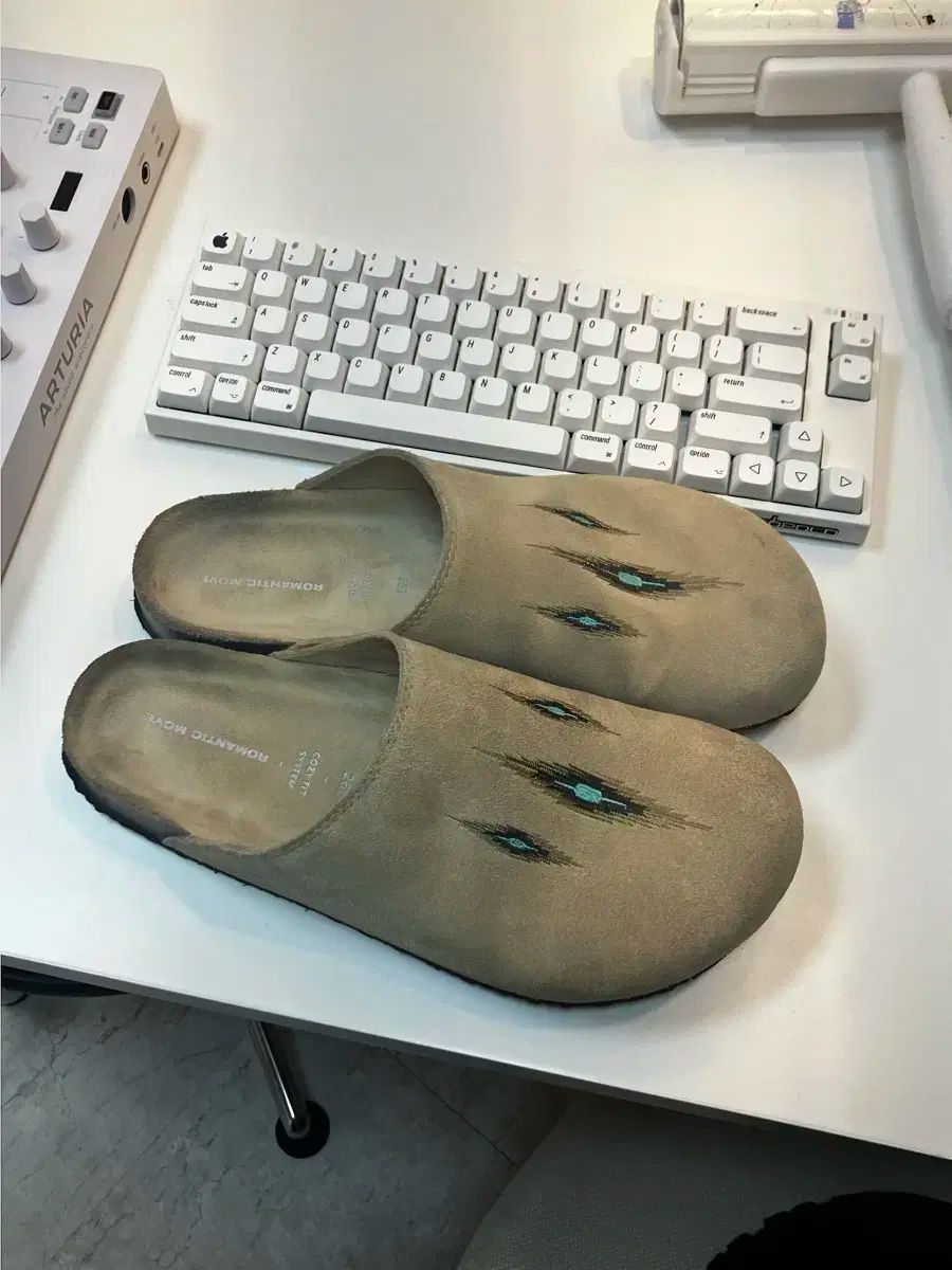 どんぐり スライド 260