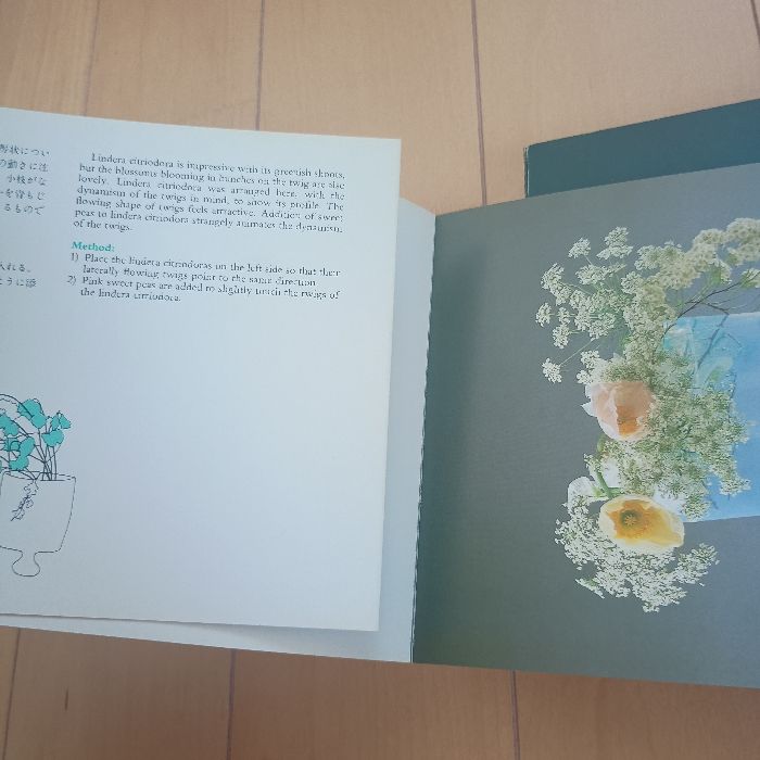 【中古】 未生流 瓶花・盛花　春／夏/主婦の友社/肥原俊樹 未生流 瓶花・盛花 1・2，春/夏 ・小品花(いけばなカード