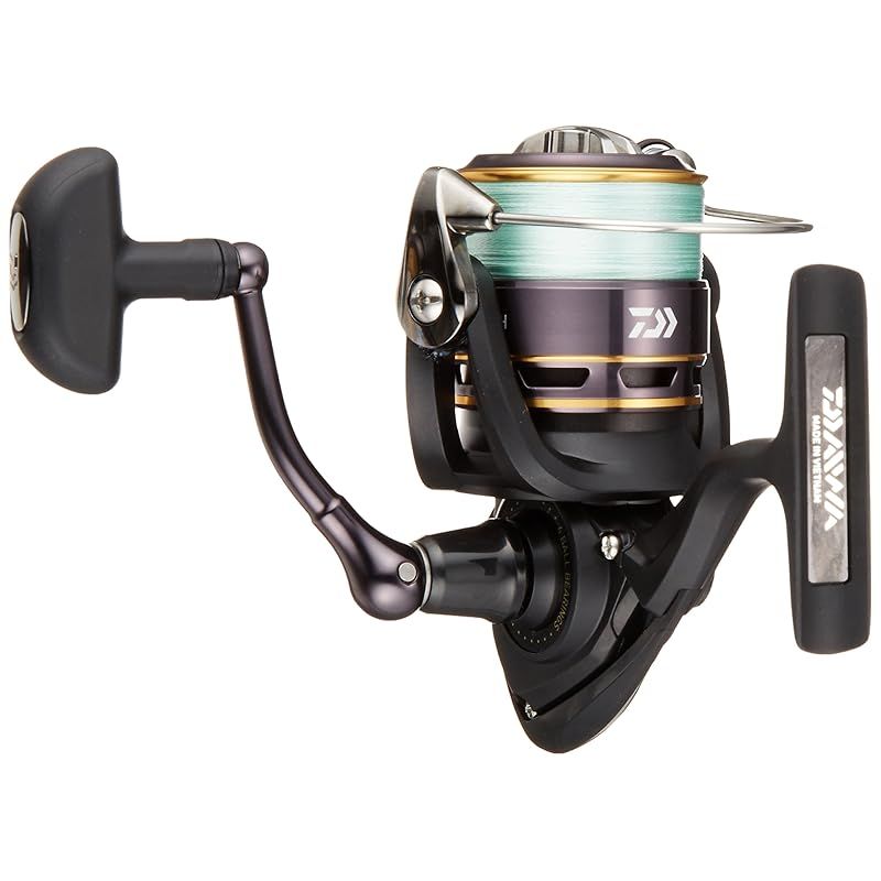 ダイワ(DAIWA) スピニングリール(糸付き) 16 リーガル 2508H PEツキ