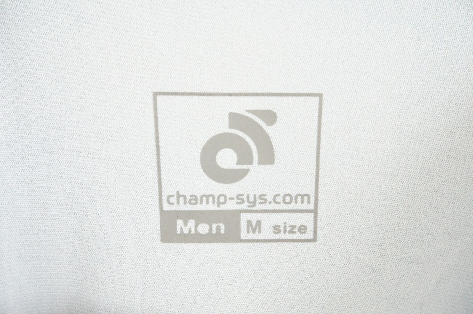 CHAMPION SYSTEM