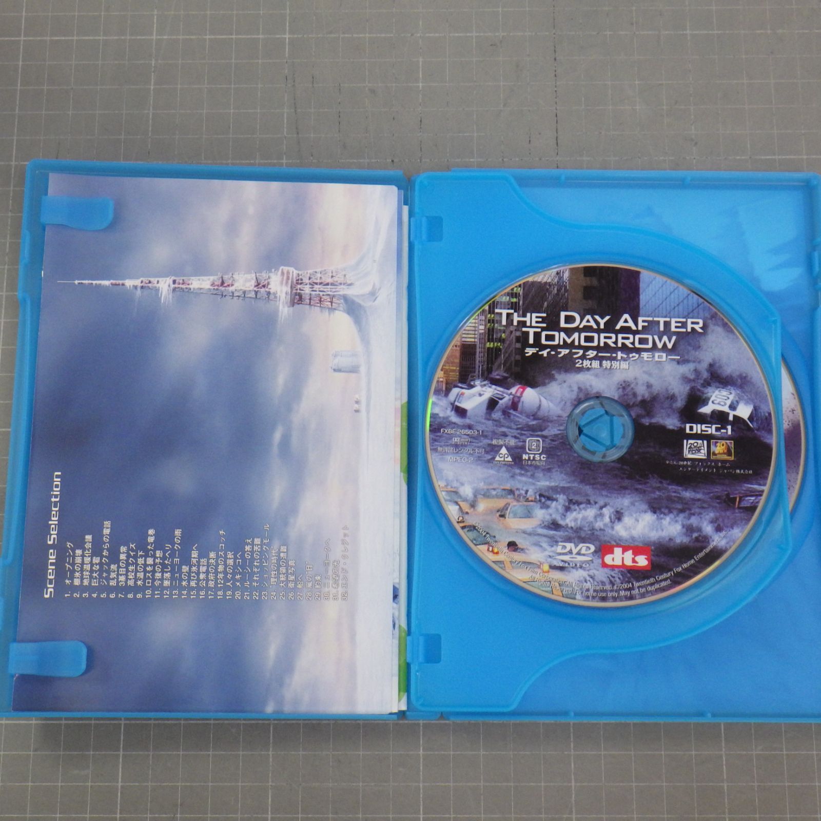 デイアフタートゥモロー DVD 2枚組 特別編 デニス・クエイド THE DAY 