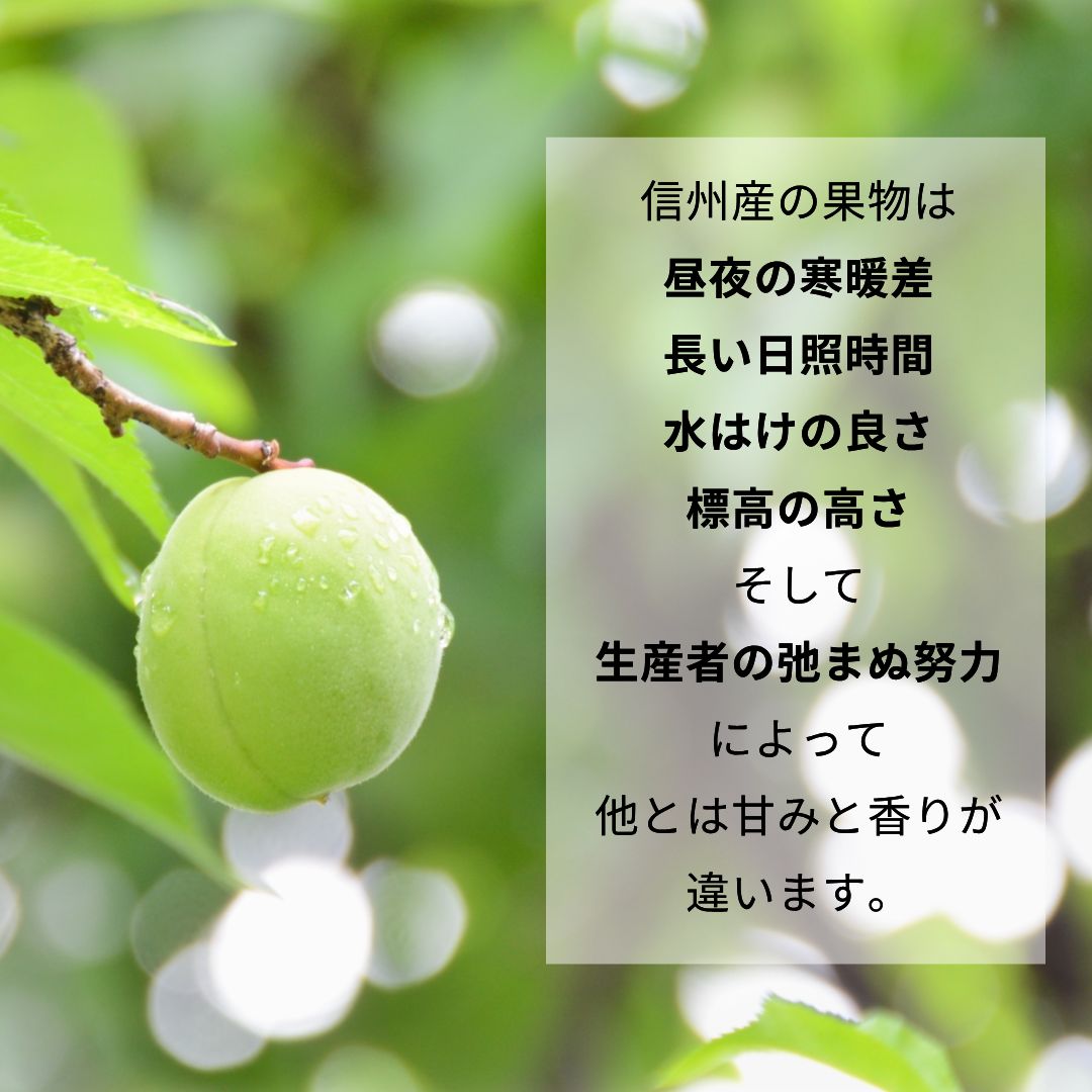 規格 ご家庭用A品B品混合