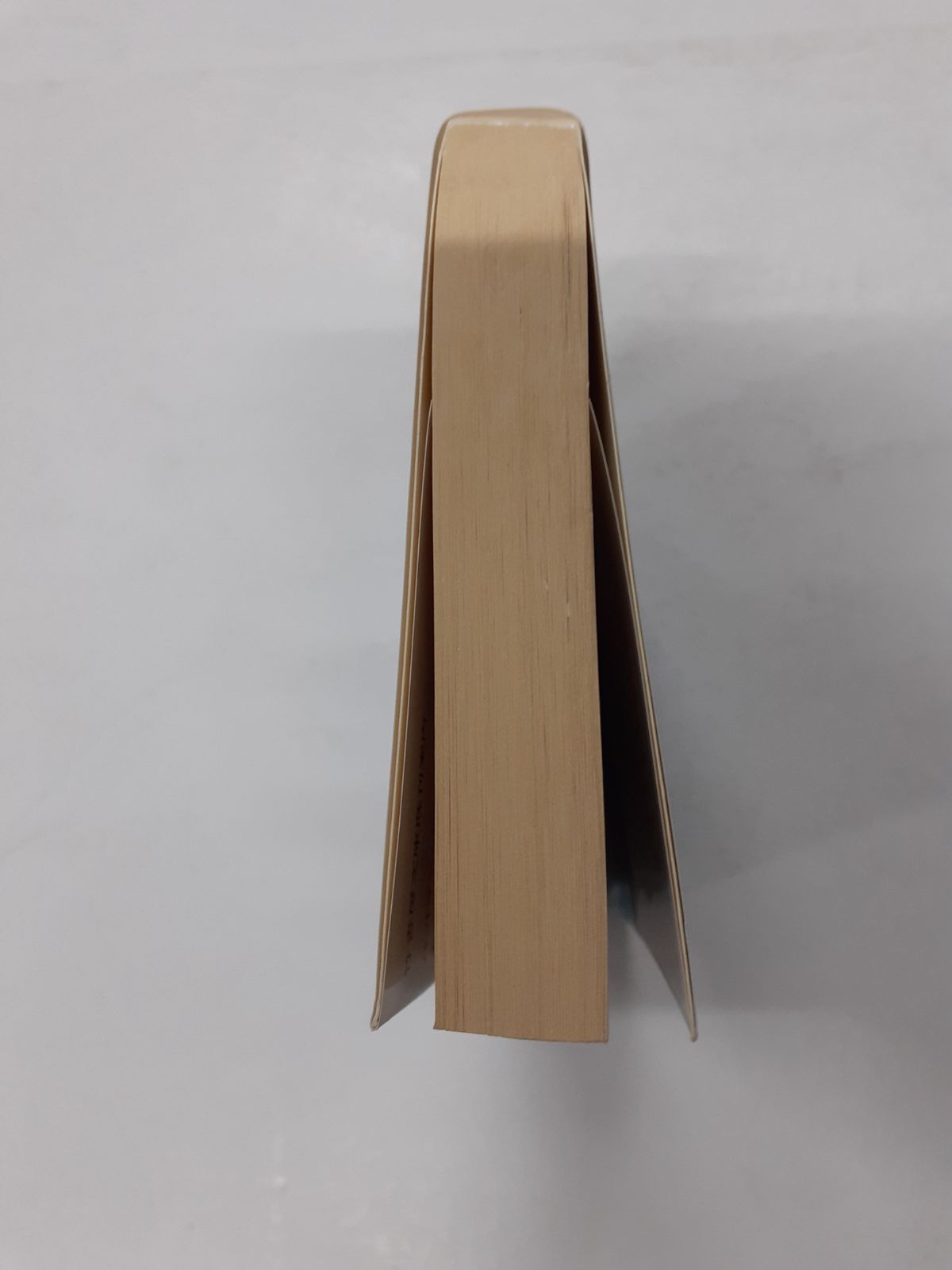 インディ・ジョーンズ神々の陰謀 (竹書房文庫) ロブ マグレガー