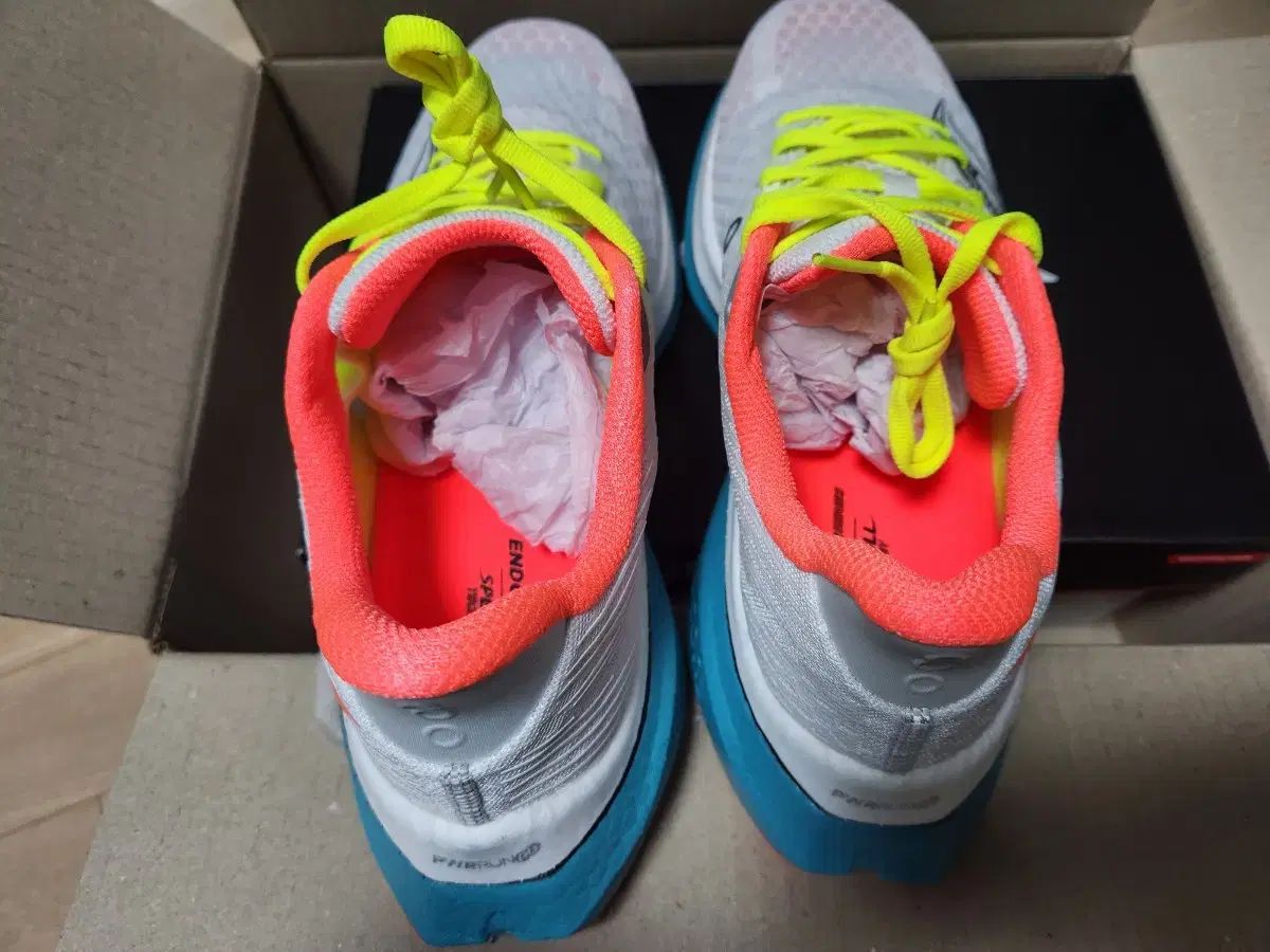 Saucony サッカニー