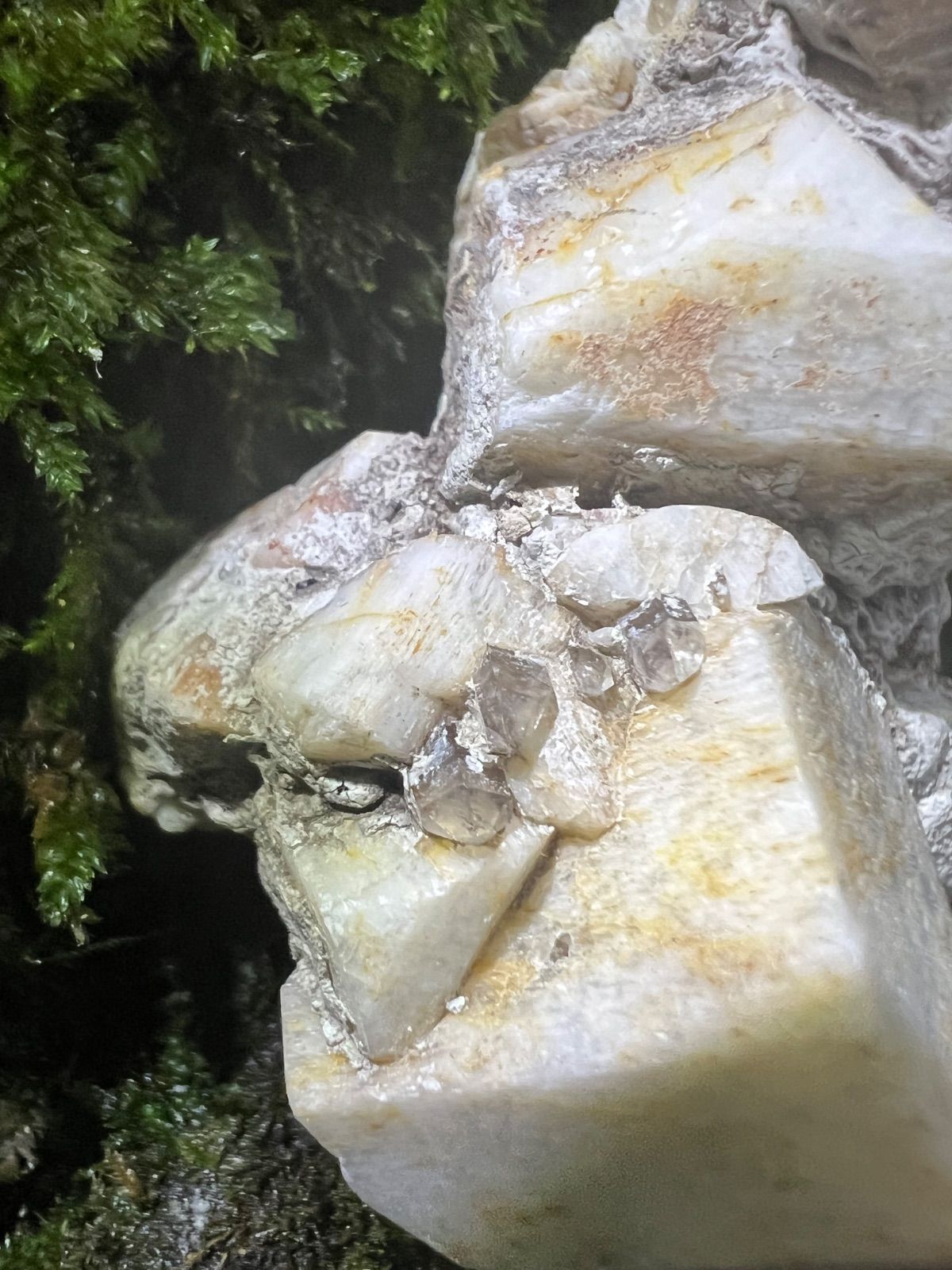 龍脈の精髄 ― 宮崎産煙水晶ツイン 「大地と縁を結ぶ祓いの力」【保護猫活動支援】 龍脈の精髄 煙水晶 宮崎の大地が授けた静かなる叡智 売上一