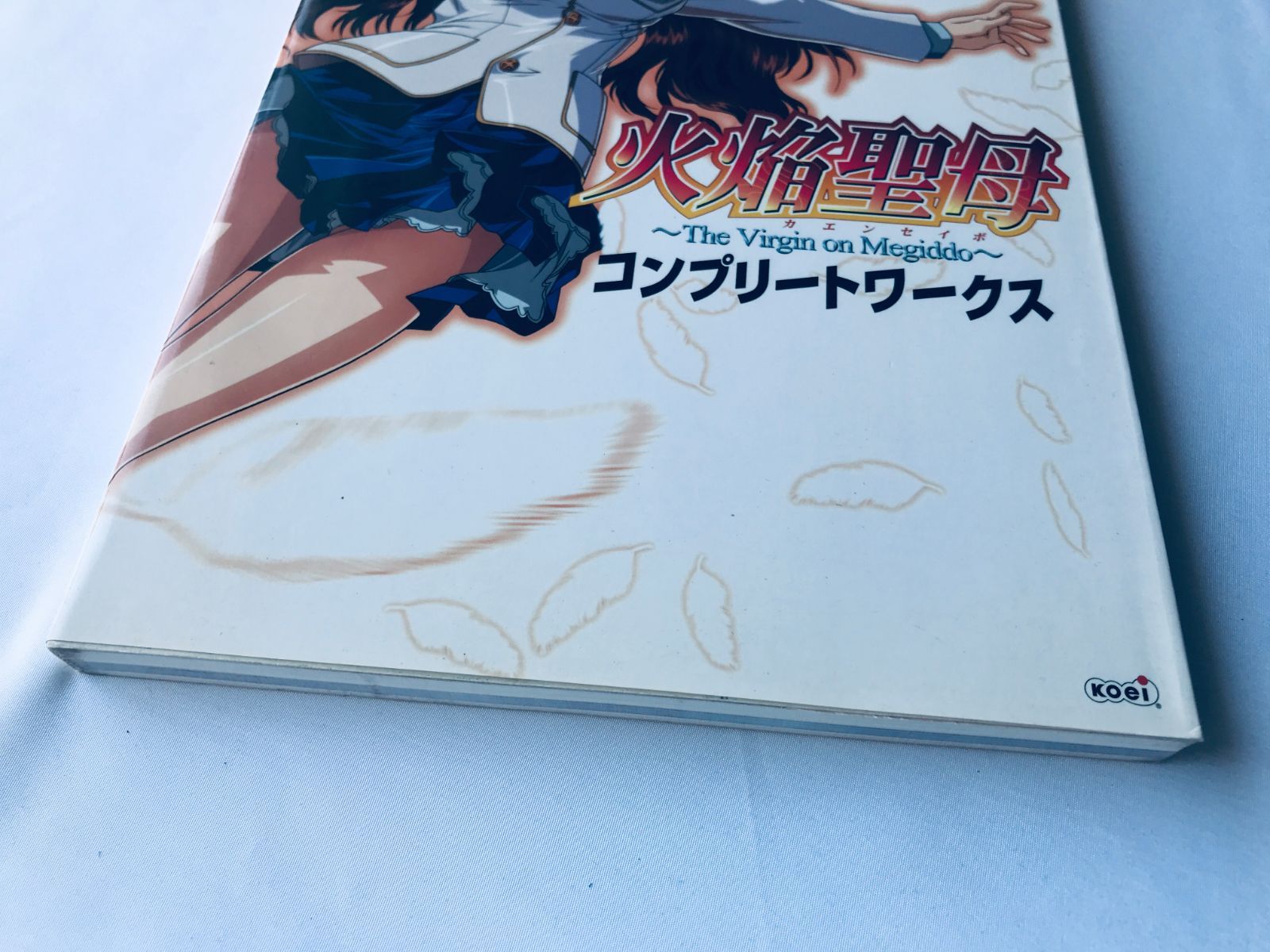火焔聖母 The Virgin on Megiddo コンプリートワークス 攻略本 ガイド 