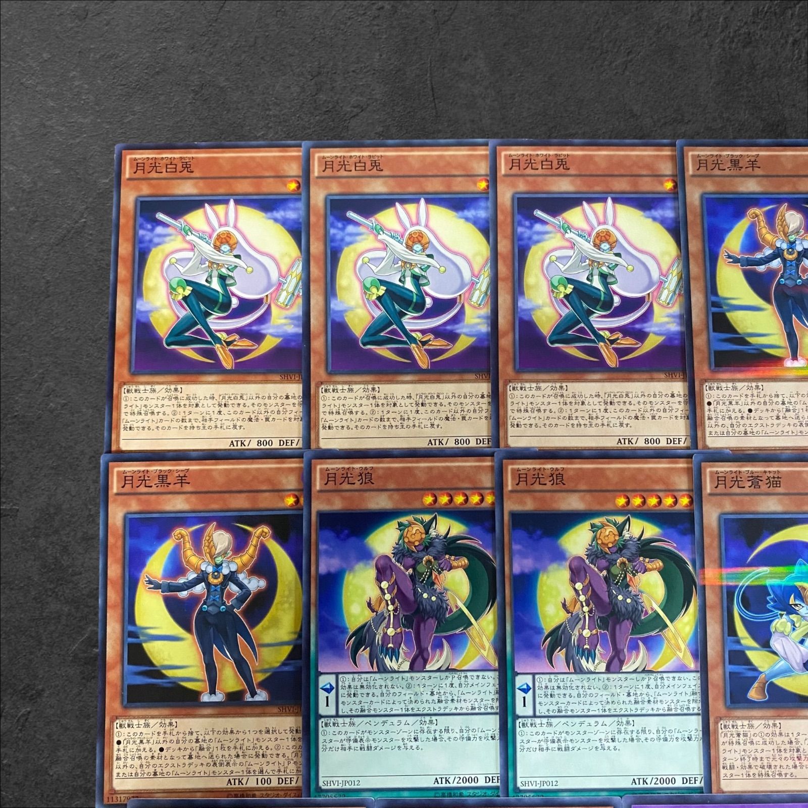 月光　デッキパーツ 8869 遊戯王 月光デッキ ムーンライトデッキ デッキパーツ