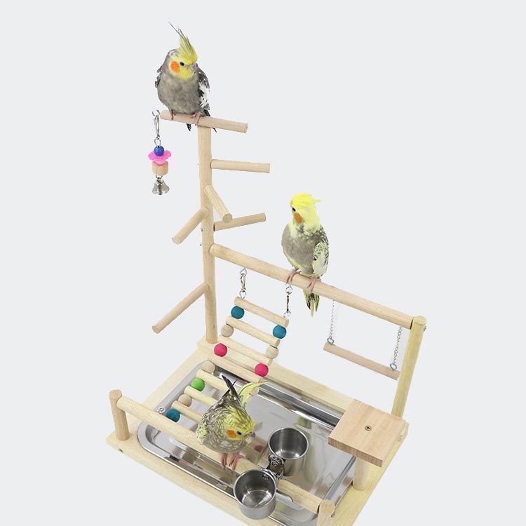 確認用　バードアスレチック(大)　フォージングトイセット！　⭐ りんご 止まり木 楽天市場】インコ おもちゃ 止まり木 スタンド バードトイ
