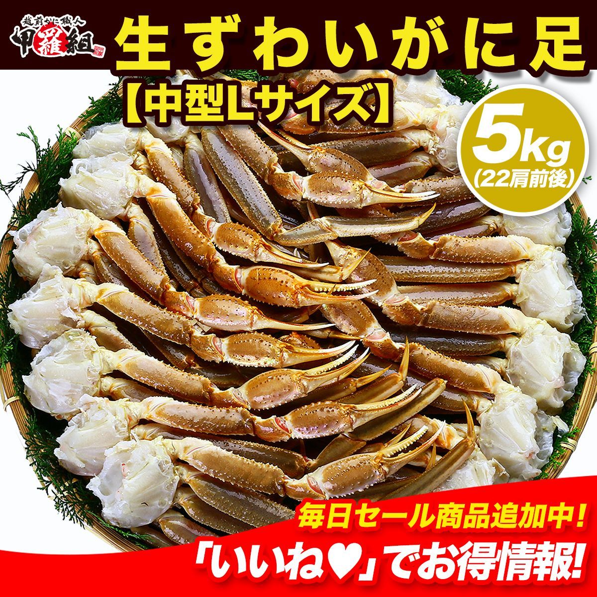 業務用 産地箱 ロシア マガダン 産船内凍結の一級品 生ずわいがに足5kg食べ放題 中型Lサイズ 22肩前後入 かに カニ 蟹 カニしゃぶ 鍋 甲羅組