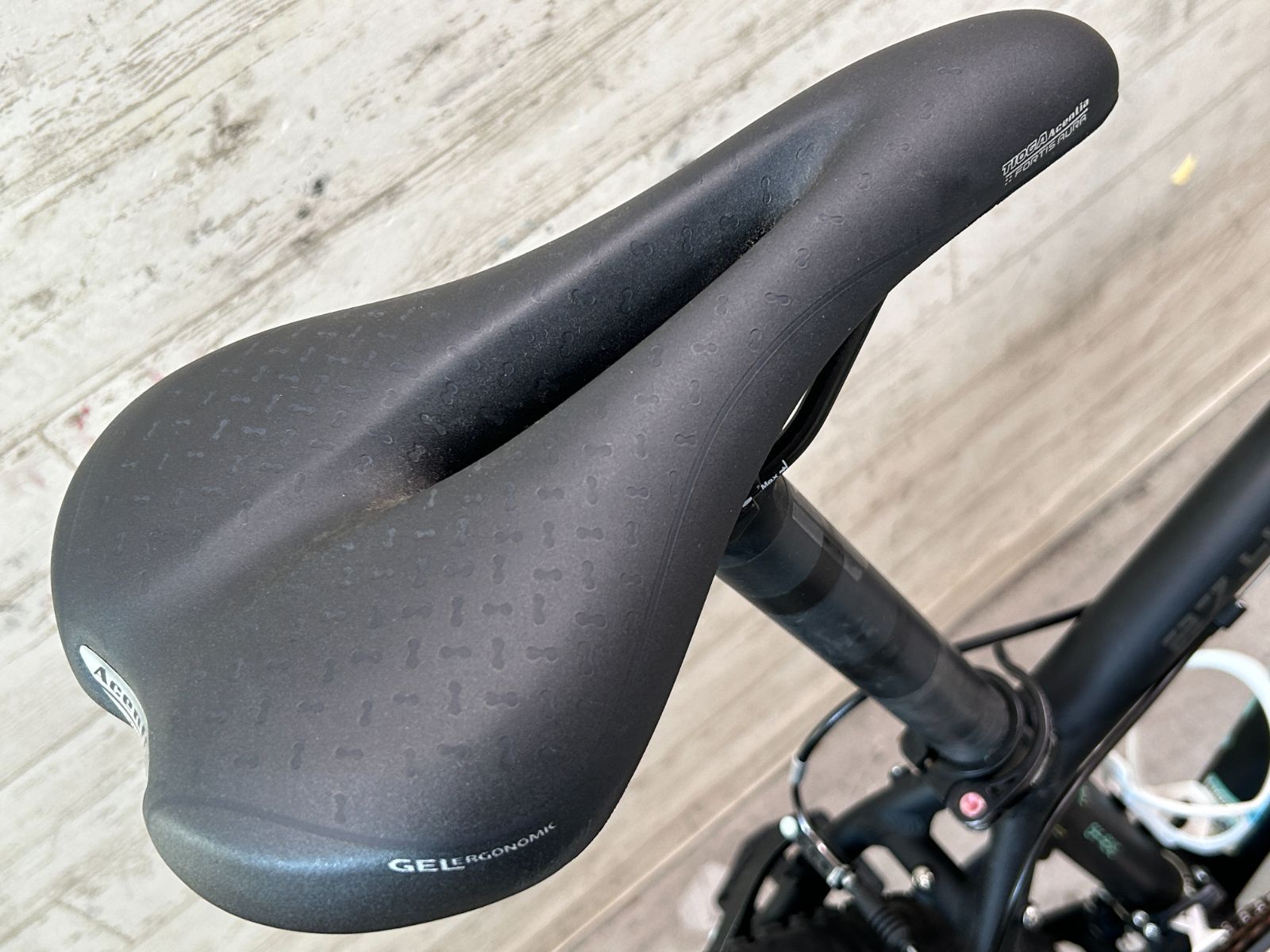 BIANCHI KUMA