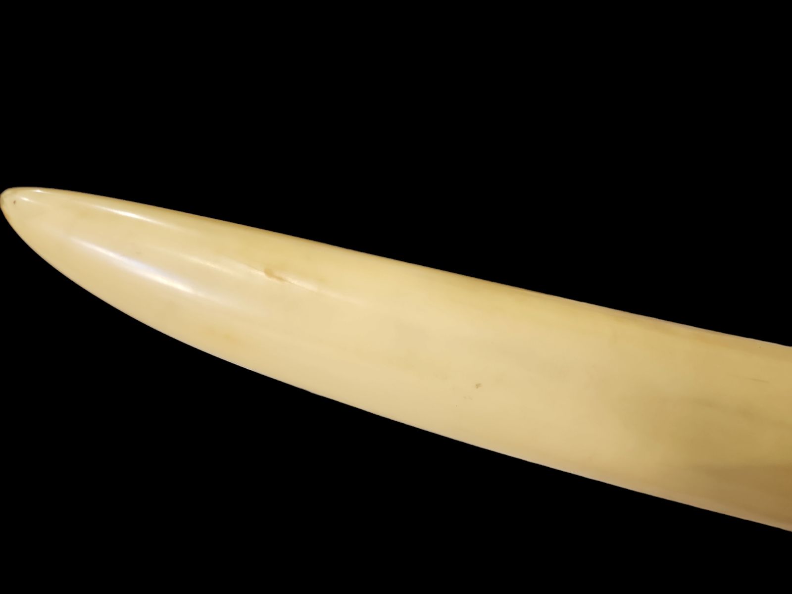 象牙風置物 練り物 一本 マンモス 特大 象牙風 置物 オブジェ