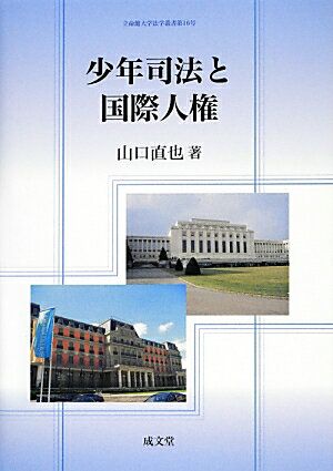 少年司法と国際人権   /成文堂/山口直也（単行本） 少年司法と国際人権 - メルカリ