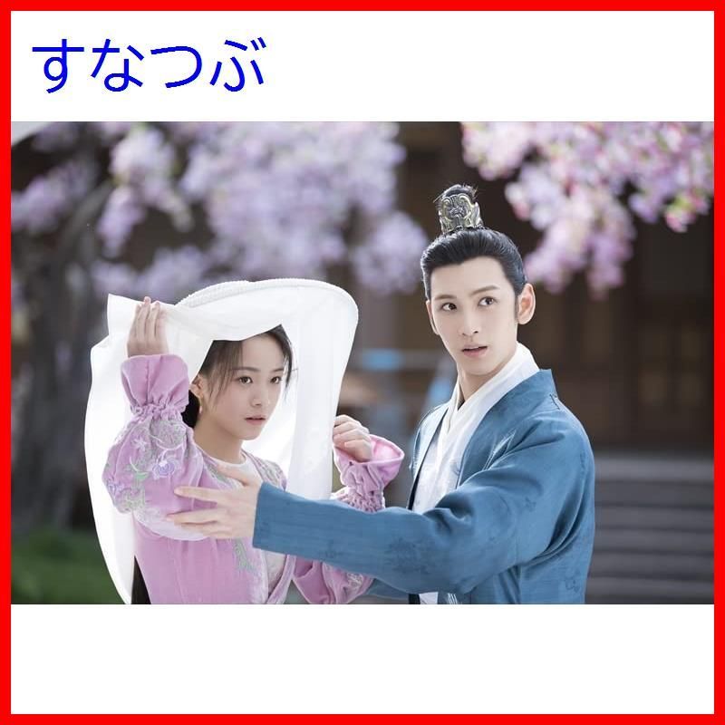 『花咲く合緑奇縁』レンタル落ちDVD★全巻★中国ドラマ 花咲く合縁奇縁 DVD-BOX1 【公式通販】