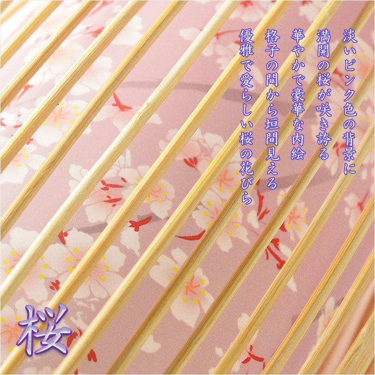 岐阜提灯 レインボーLED
