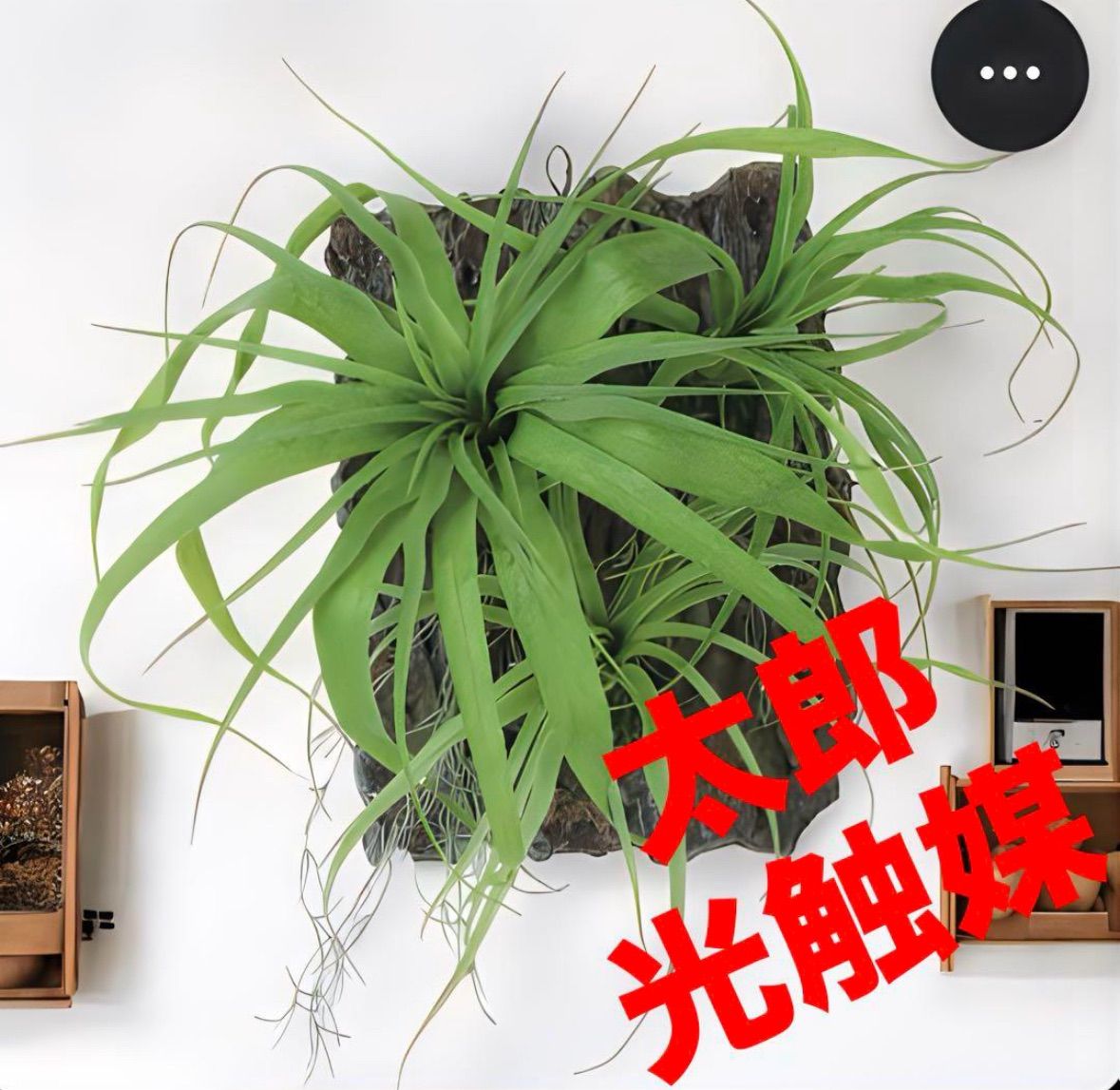 光触媒 人工観葉植物 オファー ウォールグリーン フェイクグリーン