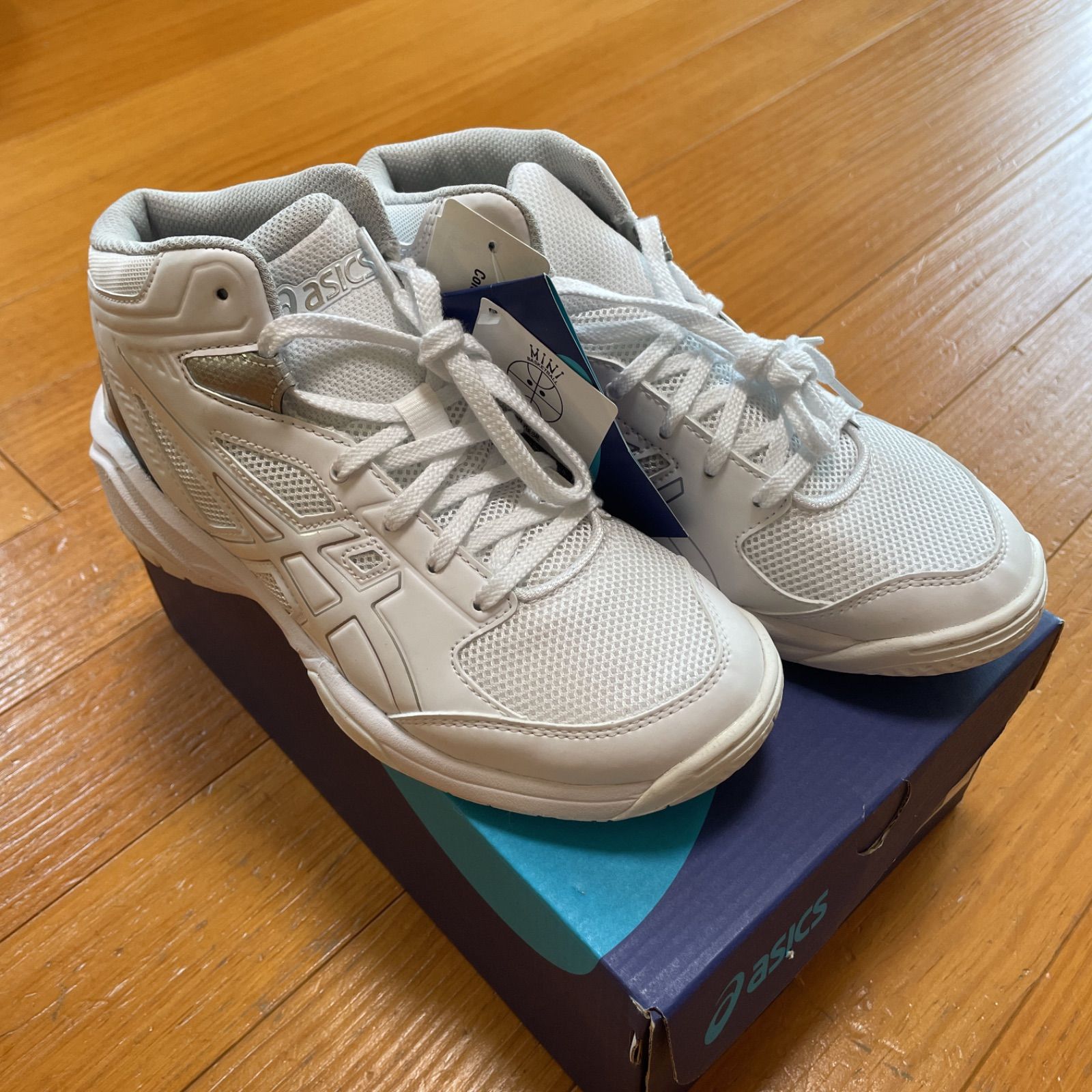 シェシェ　バスケット ANS 72 シェル バスケットストレッチャー。あらゆる救助現場で