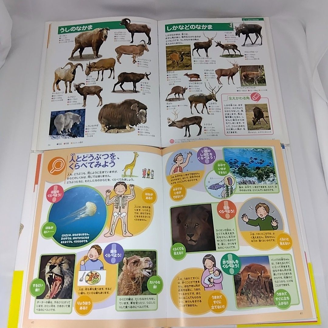フレーベル館の図鑑NATURA　他お話しセット フレーベル館の図鑑 NATURA 4冊セット - メルカリ