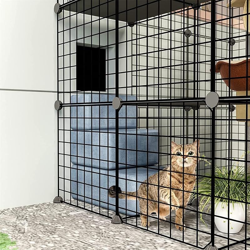 多頭飼い