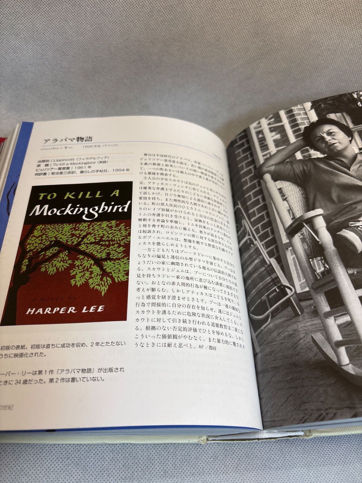 世界の小説大百科 1001冊の本 世界の小説大百科 : 死ぬまでに読むべき1001冊の本』 函付き(ピーター